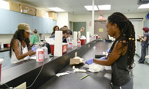 Sonoran | Students in lab working